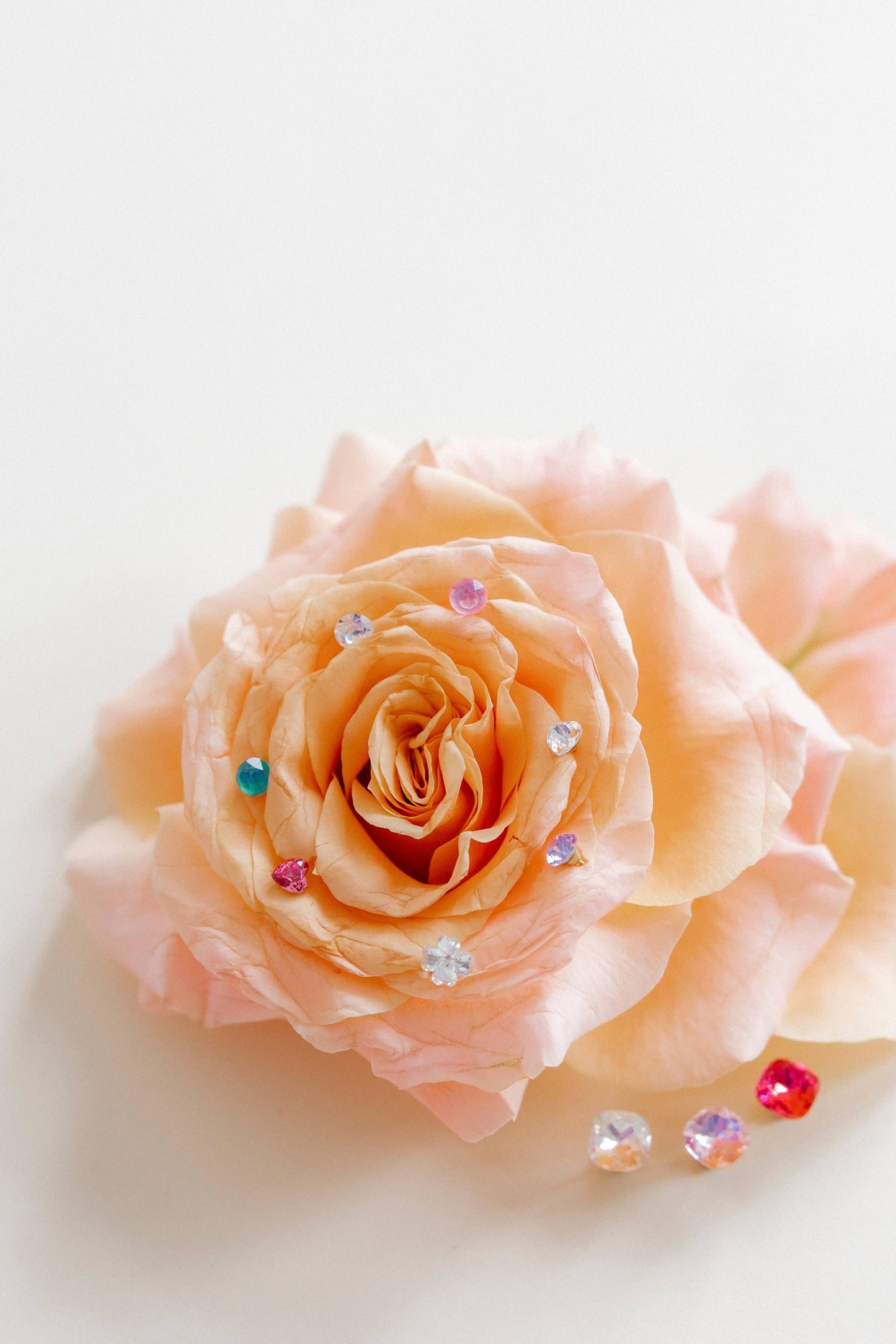 Screwback Stud Earrings Lux - Zuri Clear