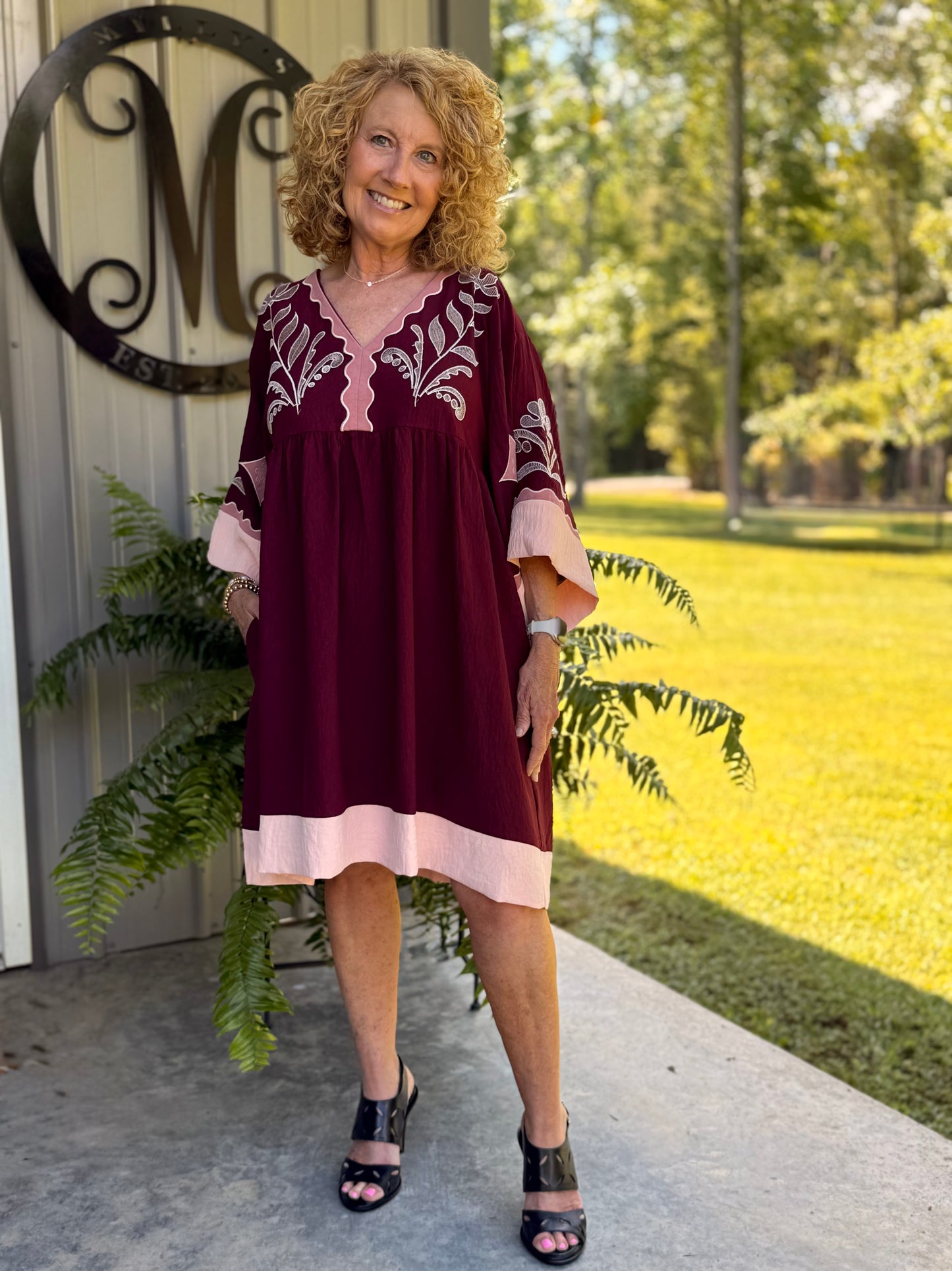 Darla Embroidered V Neck Dress