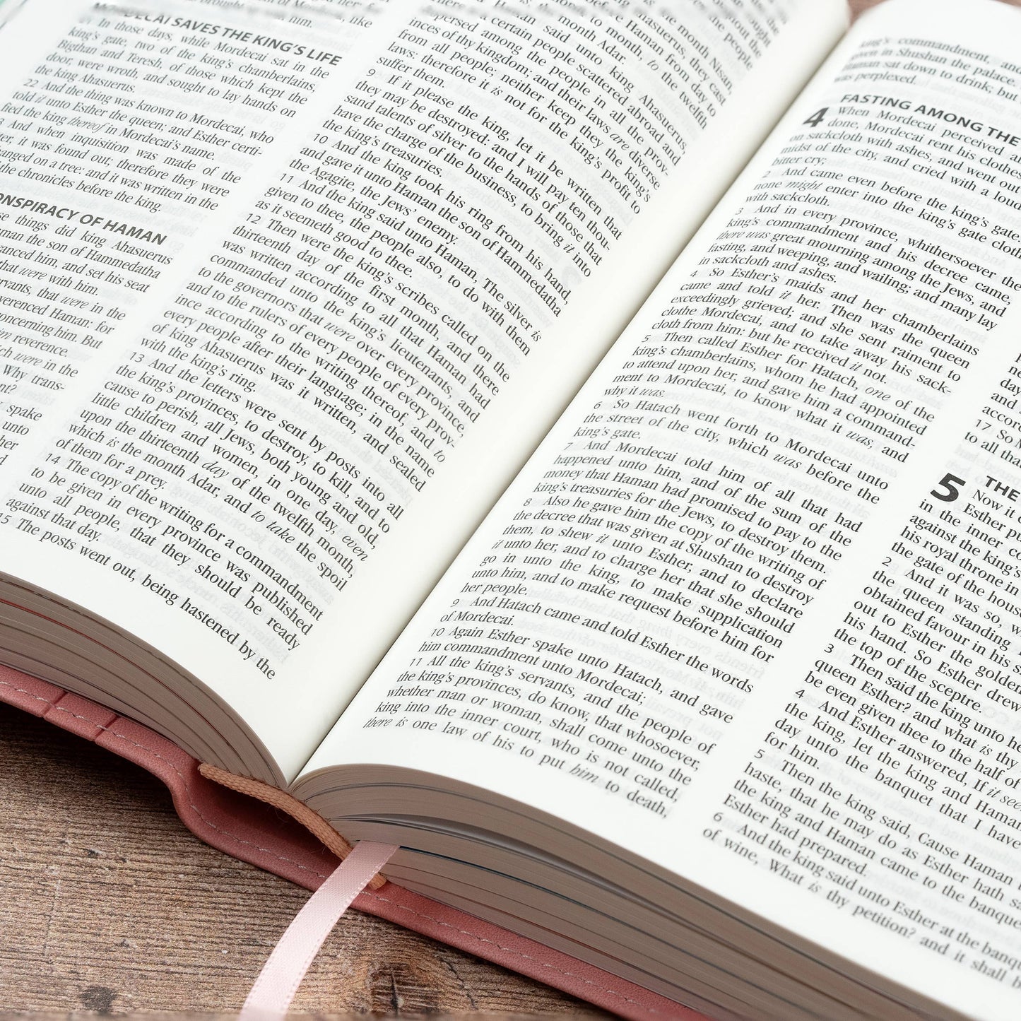 My First Real Bible