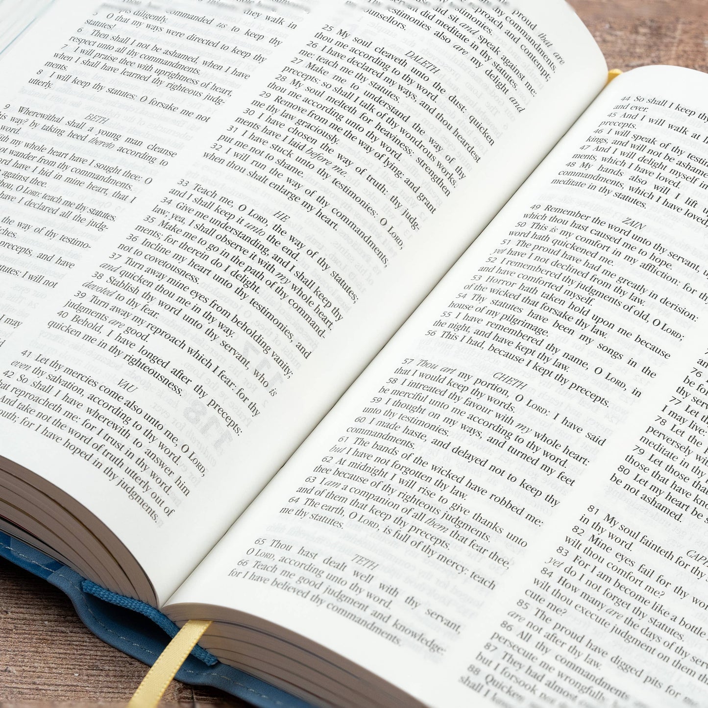 My First Real Bible
