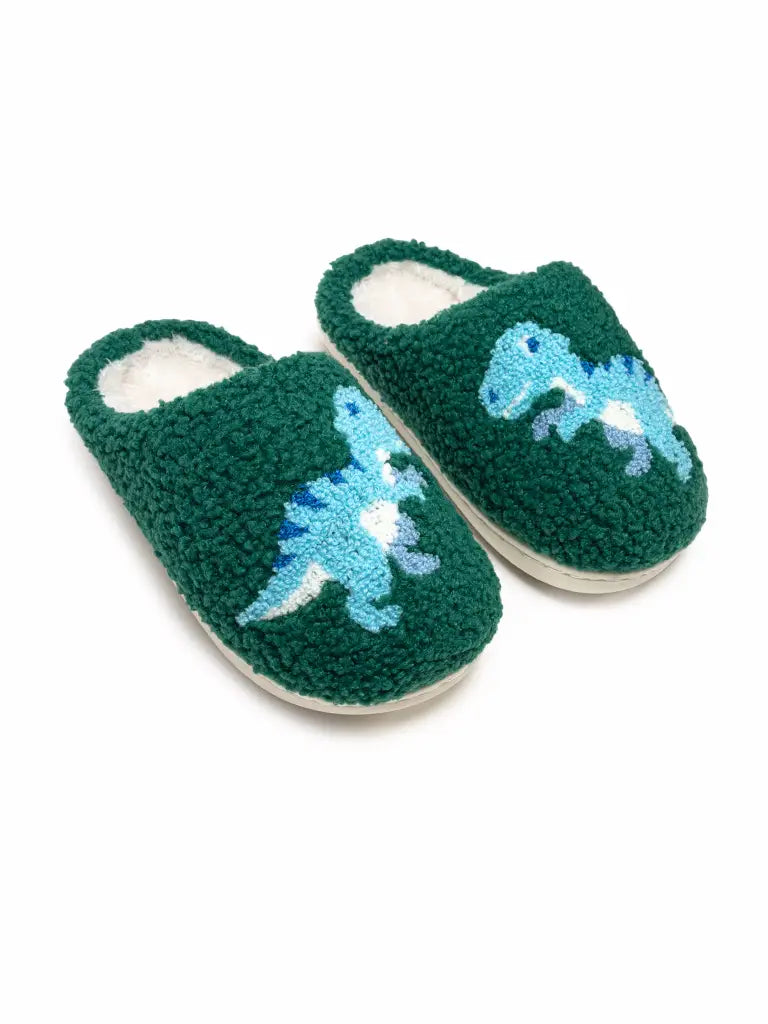 Boy’s Dino Slippers - Milly's Boutique
