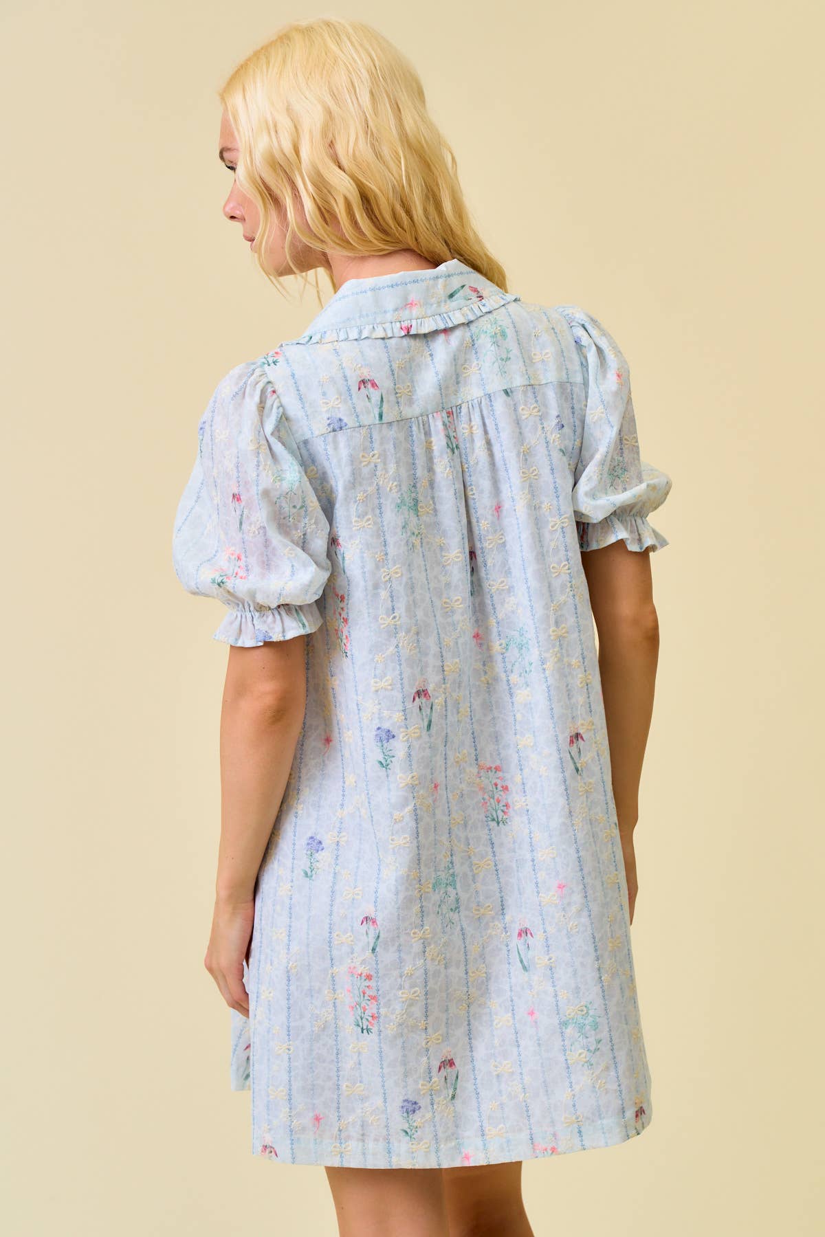 Hadley Embroidered Swing Dress