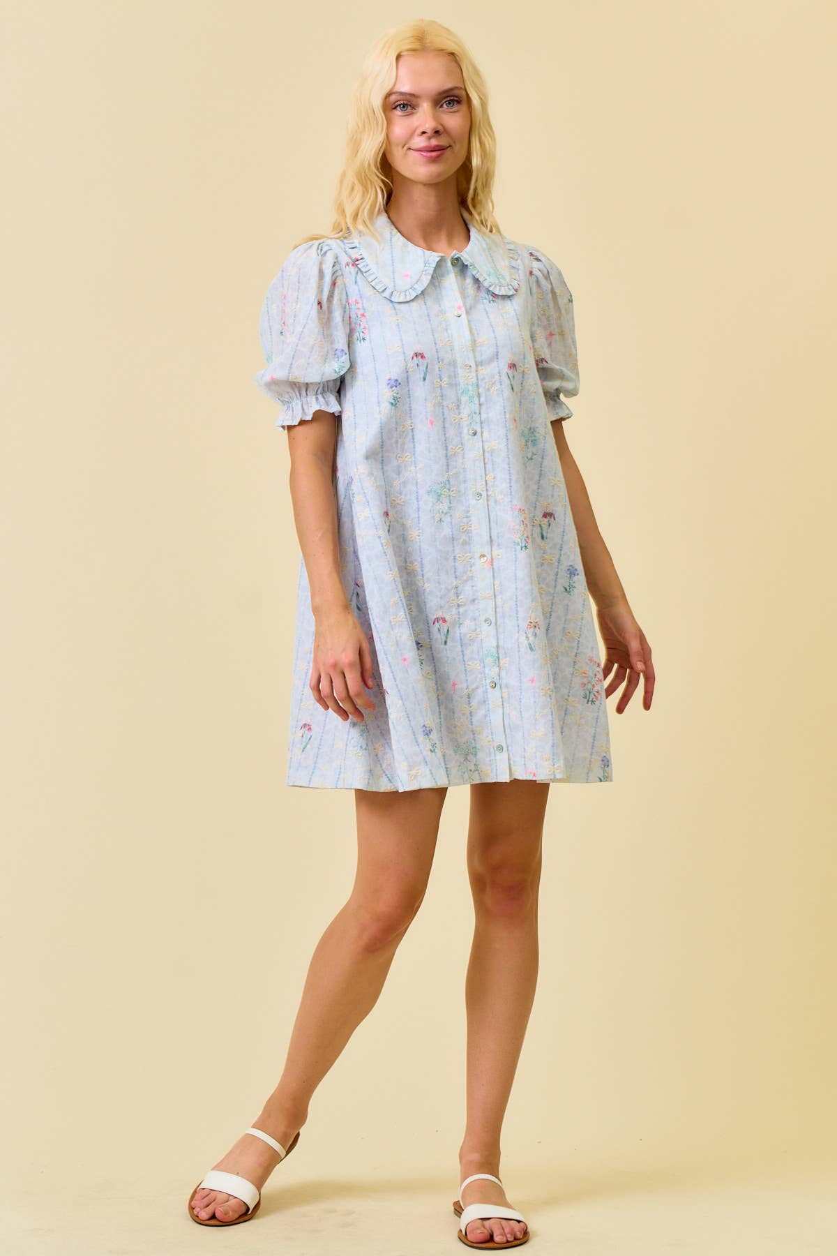 Hadley Embroidered Swing Dress