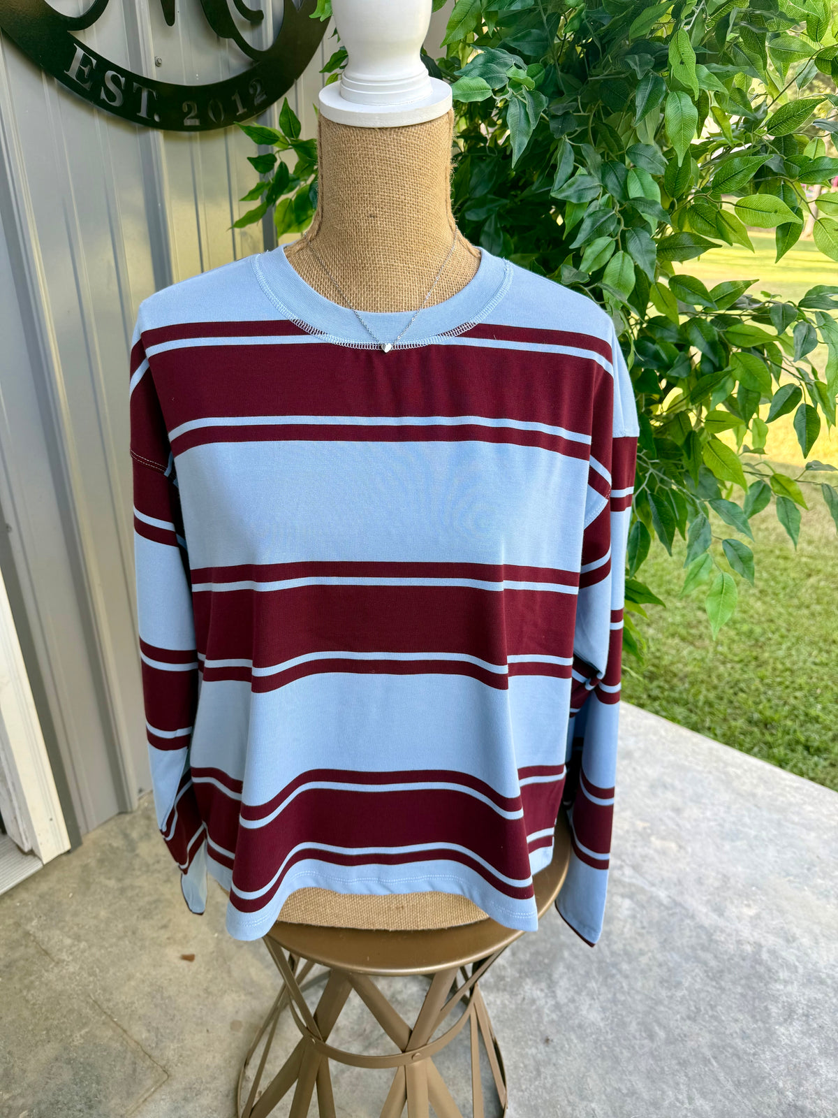 Dani Long Sleeve Wide Stripe Top