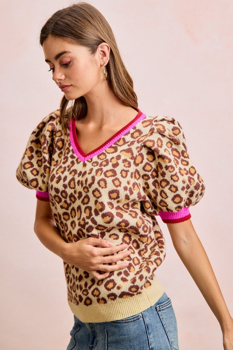 Leopard V Neck Sweater