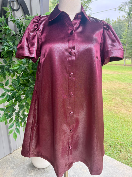 Metallic Button Up Shimmer Dress