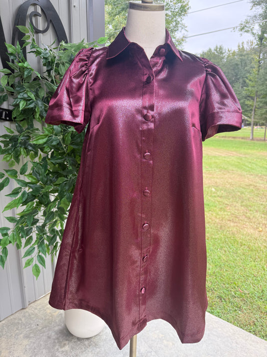 Metallic Button Up Shimmer Dress