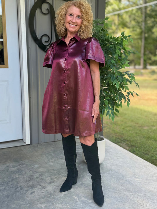 Metallic Button Up Shimmer Dress