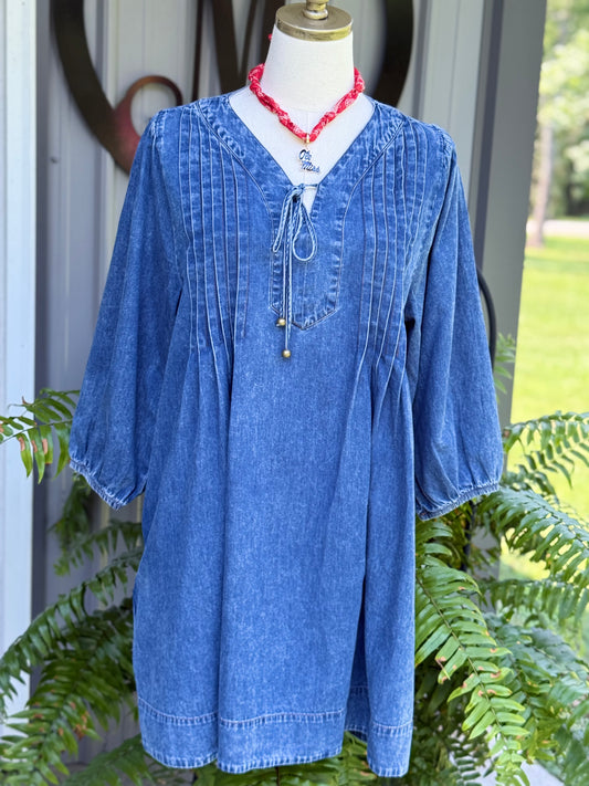 Sara Pleated Denim Dress