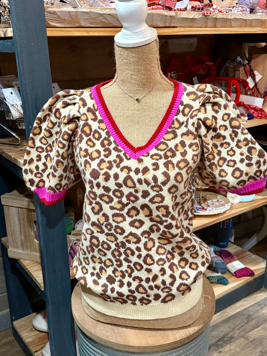 Leopard V Neck Sweater