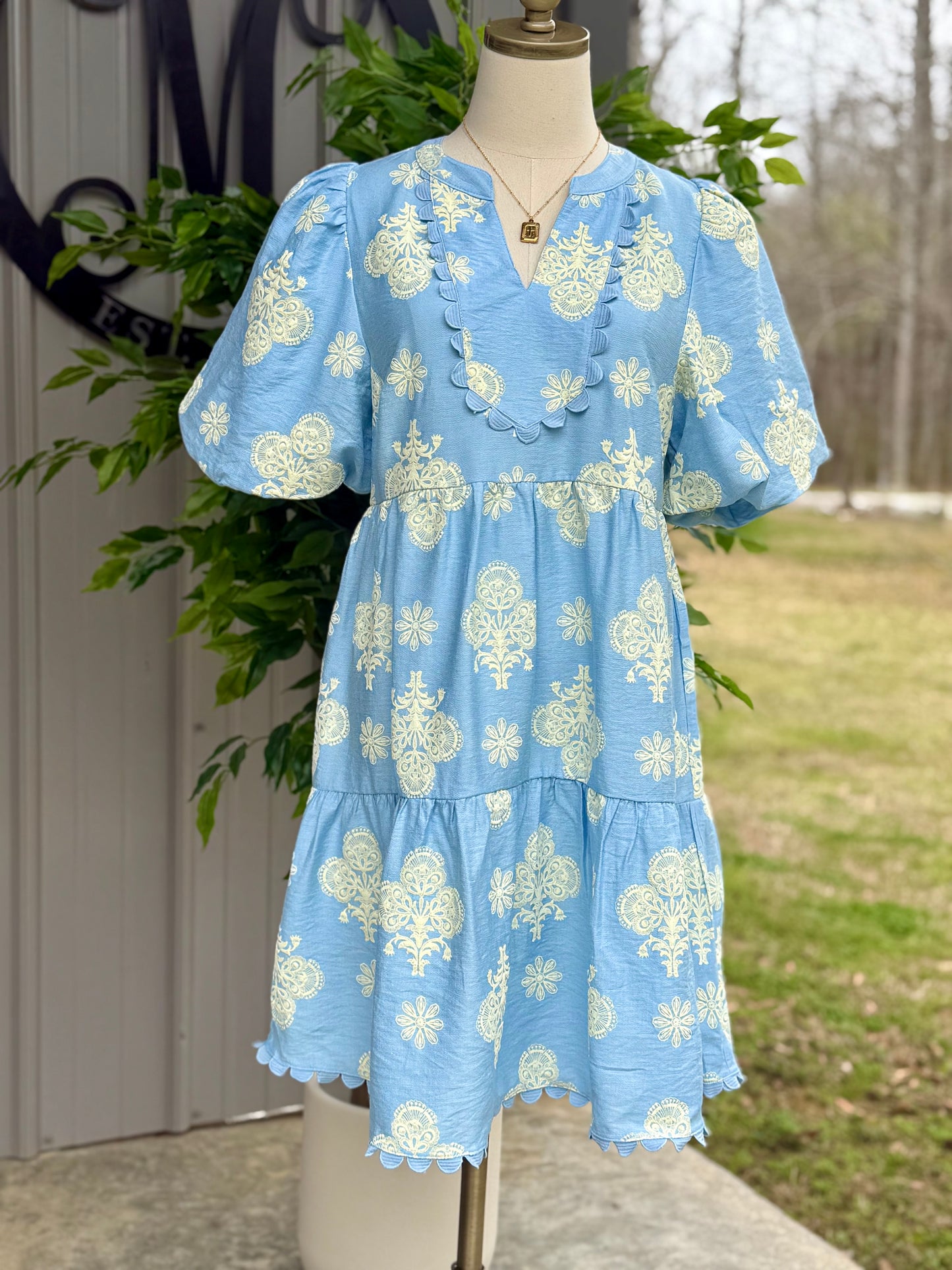 Leah Puff Sleeve Dress