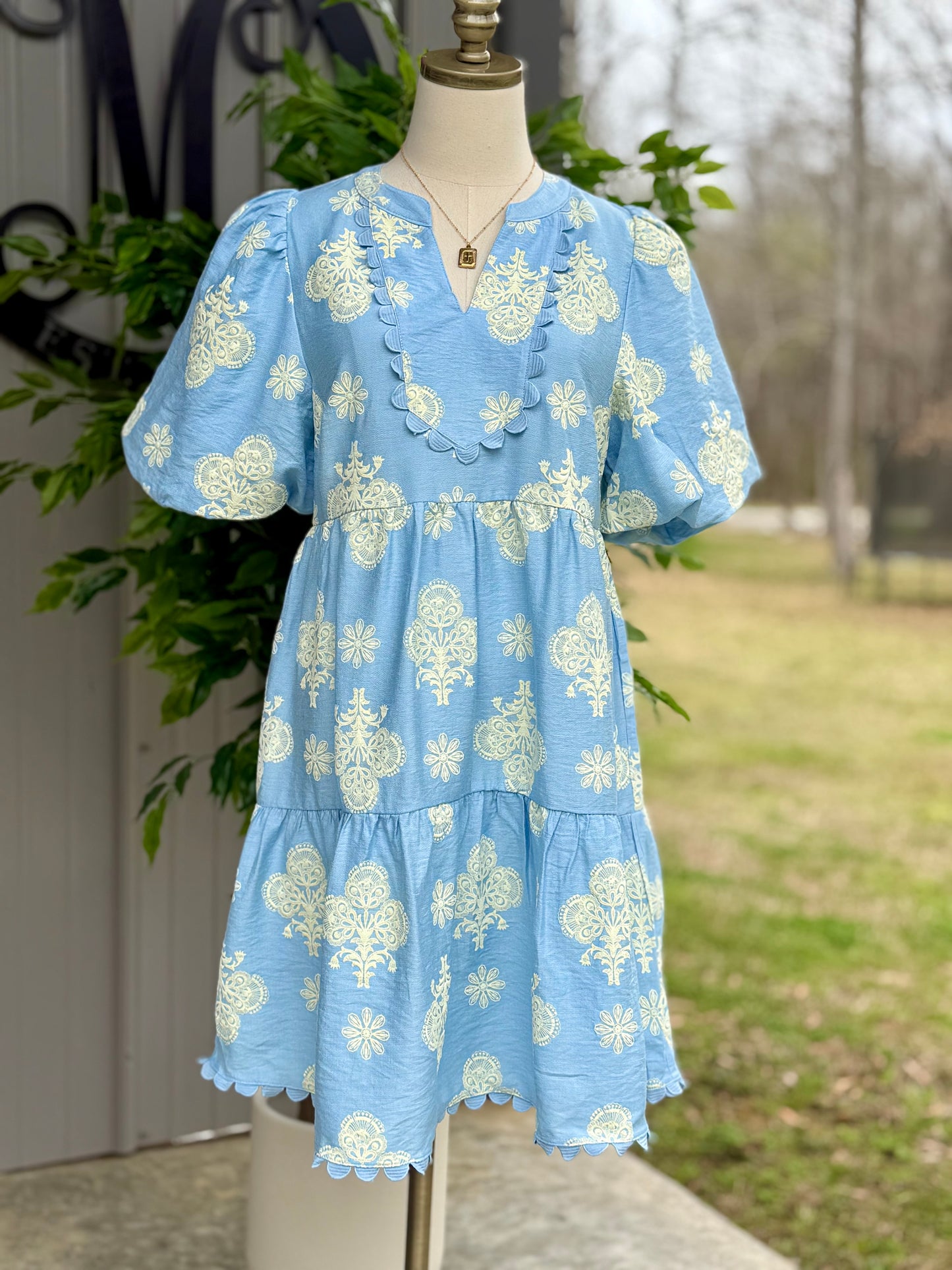 Leah Puff Sleeve Dress