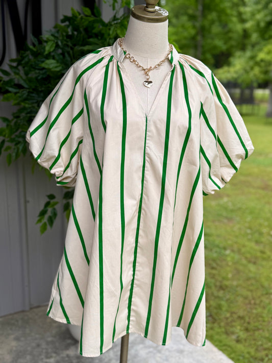 Riza Puff-Sleeve Stripe Swing Shift Dress