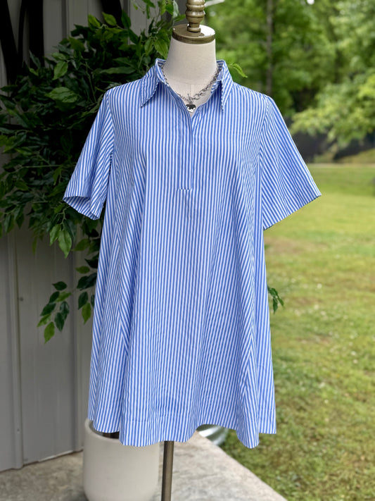 Josie Striped Shirt Swing Dress