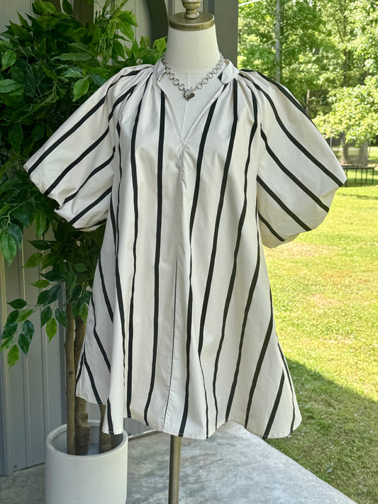 Riza Puff-Sleeve Stripe Swing Shift Dress