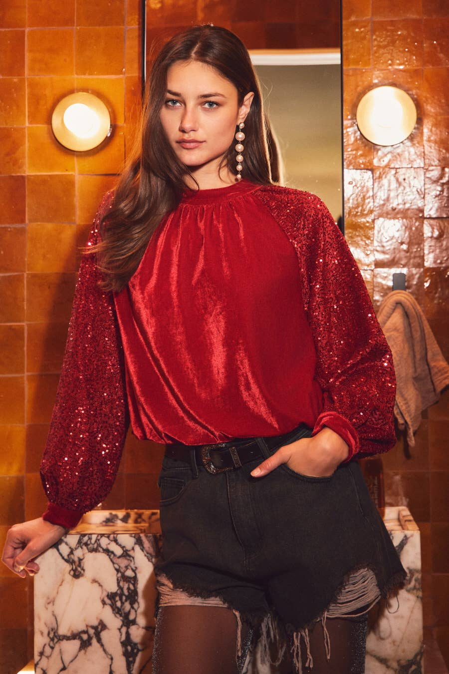 Velvet Sequin Sleeve Blouse